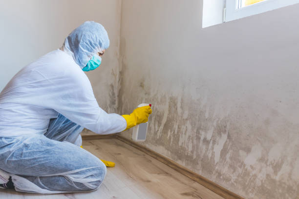 Commercial Mold Remediation assessment for commercial property in Cross Junction